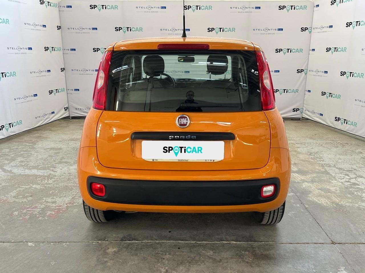 Fiat Fiat Panda usata 16