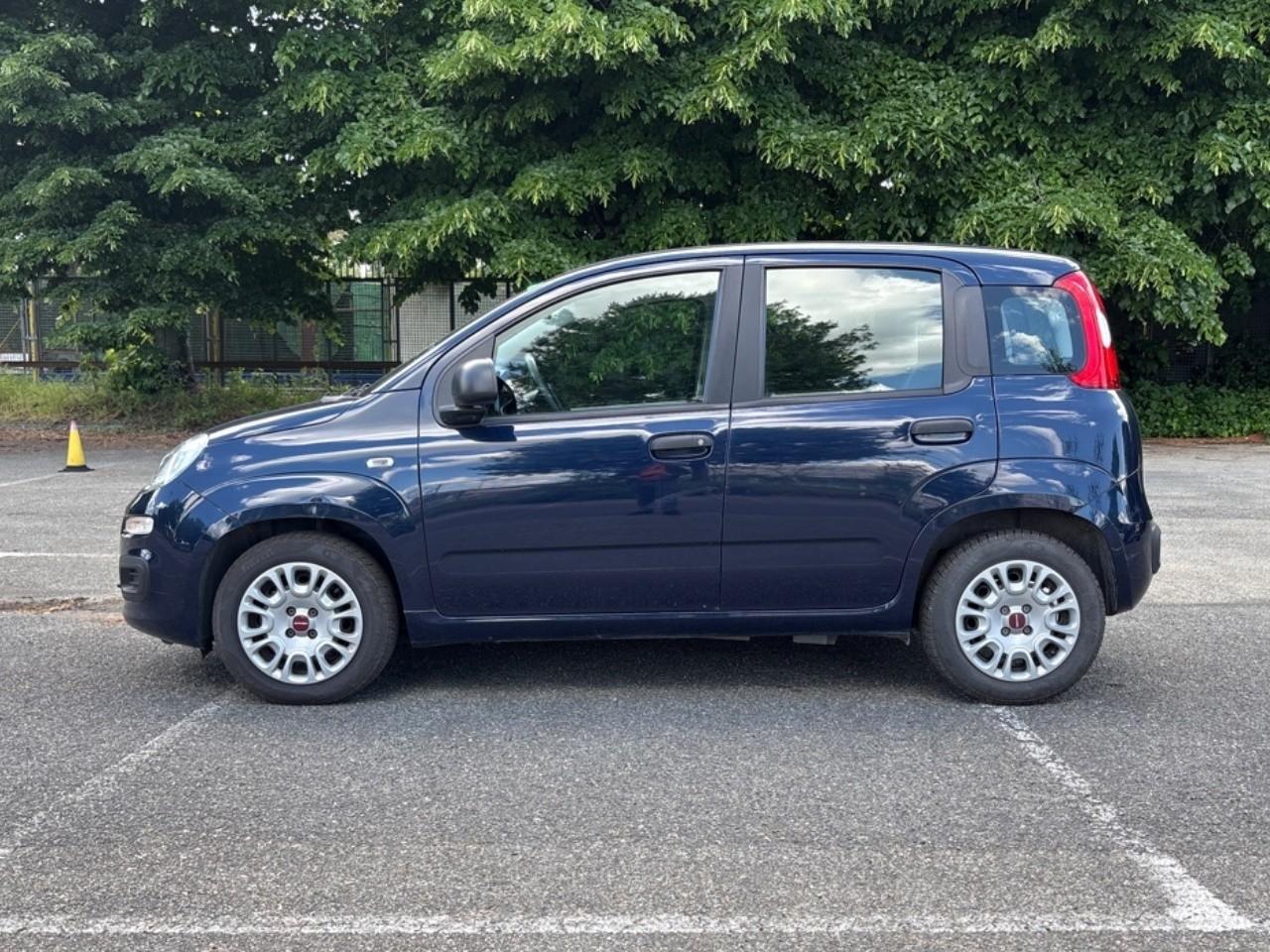 Fiat Fiat Panda usata 14