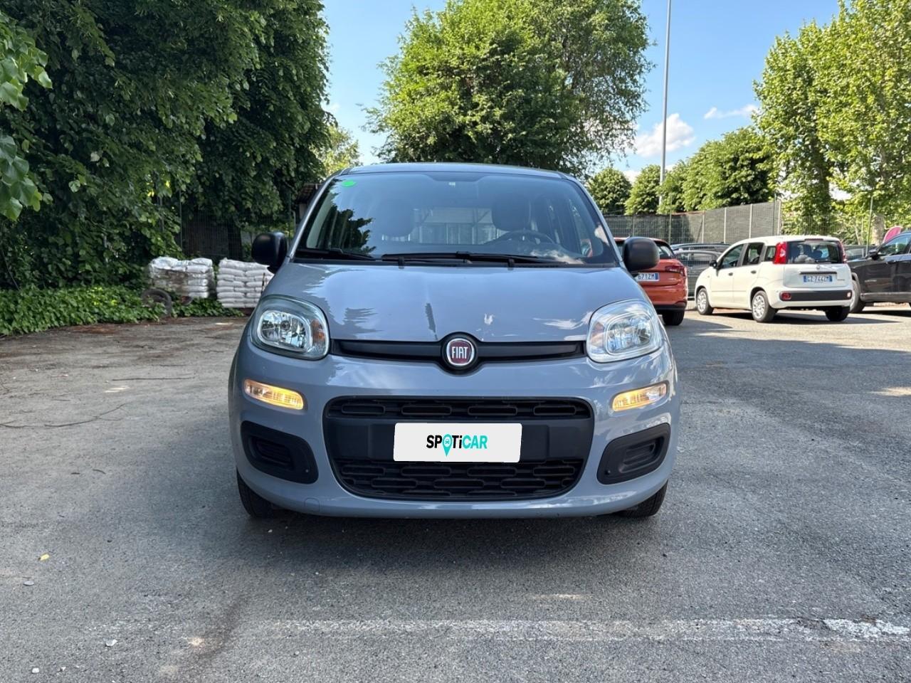 Fiat Fiat Panda usata 11