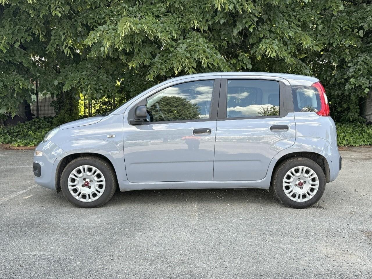 Fiat Fiat Panda usata 14