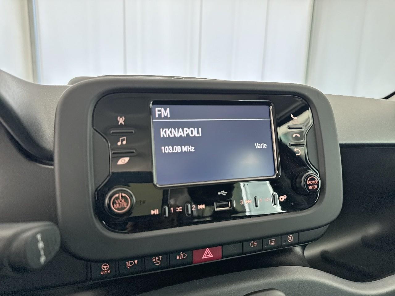 Fiat Fiat Panda usata 5