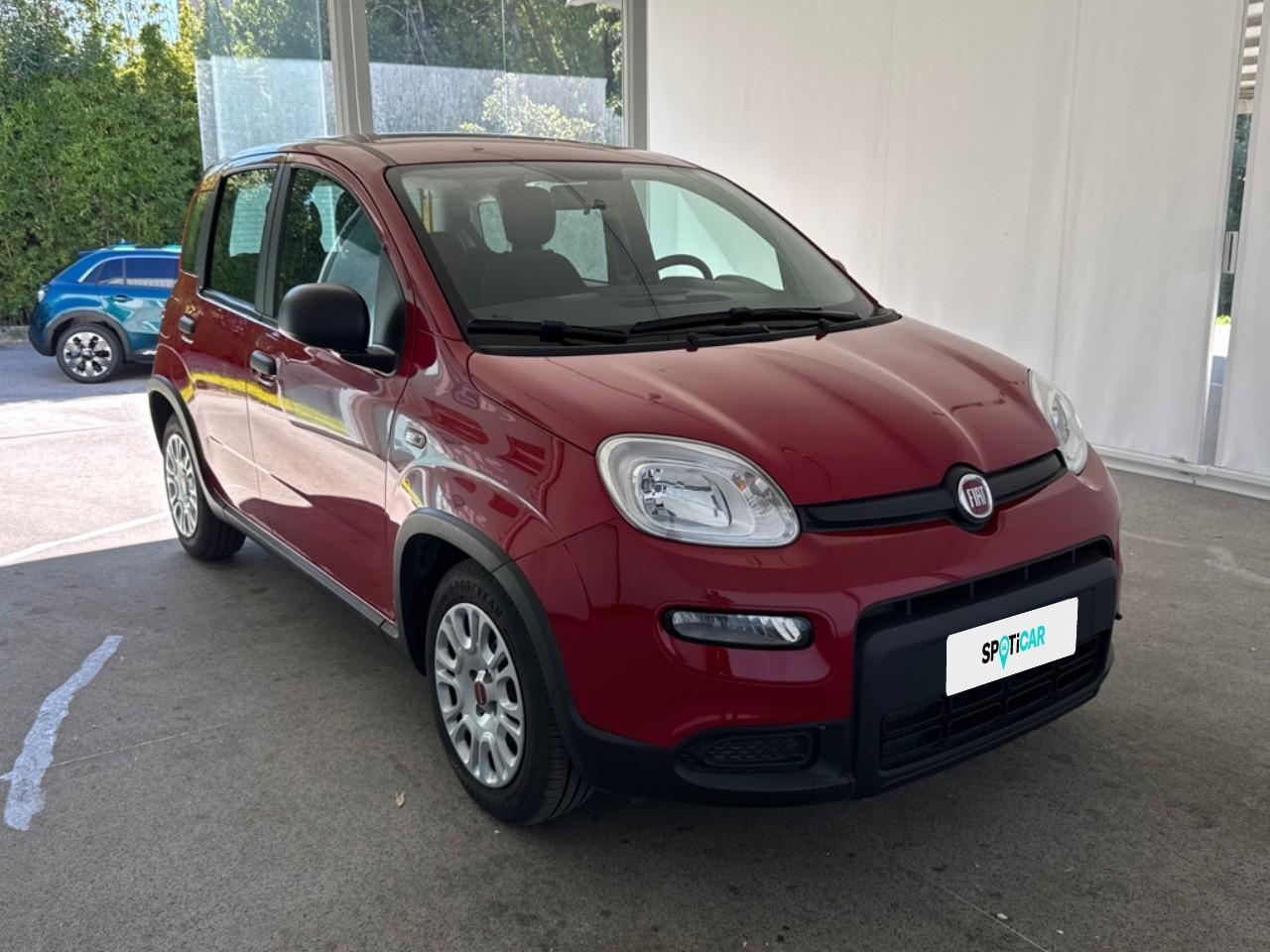 Fiat Fiat Panda usata 14