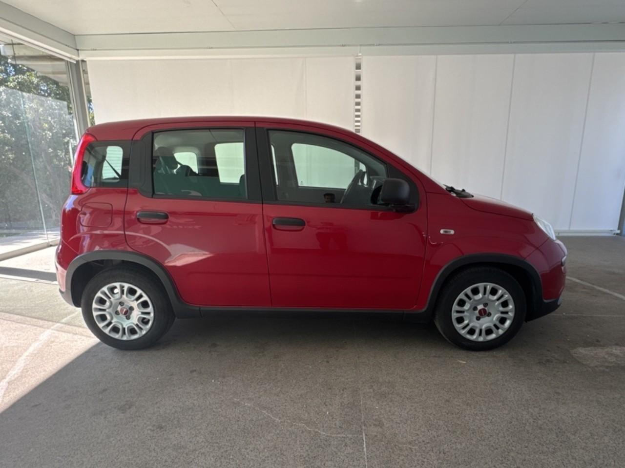 Fiat Fiat Panda usata 15