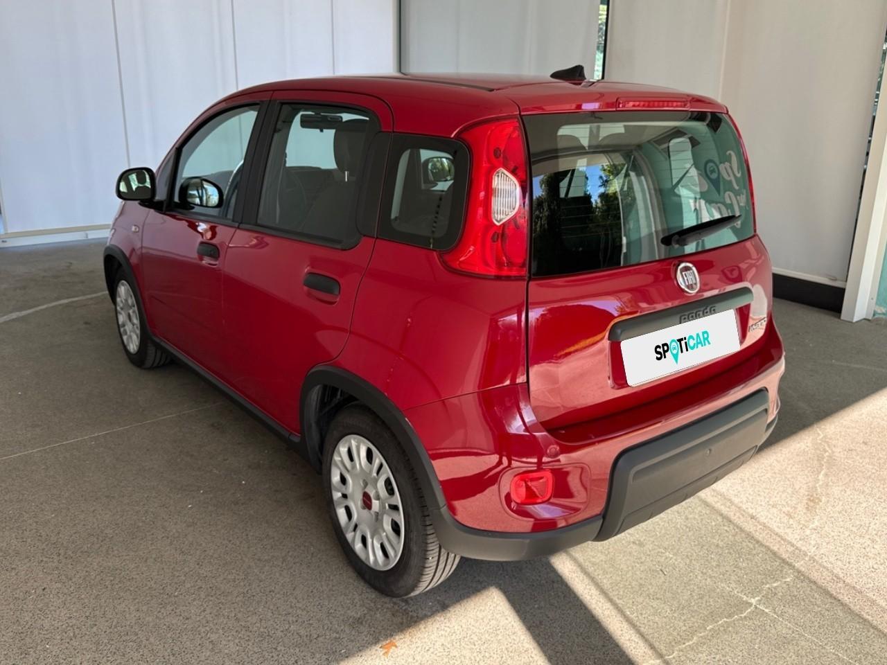 Fiat Fiat Panda usata 18