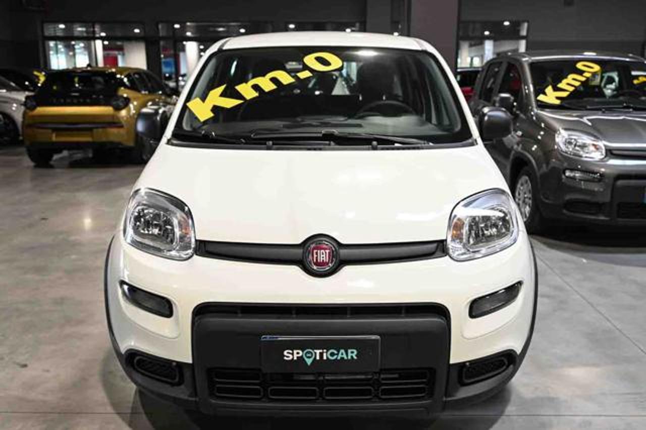Fiat Fiat Panda usata 11