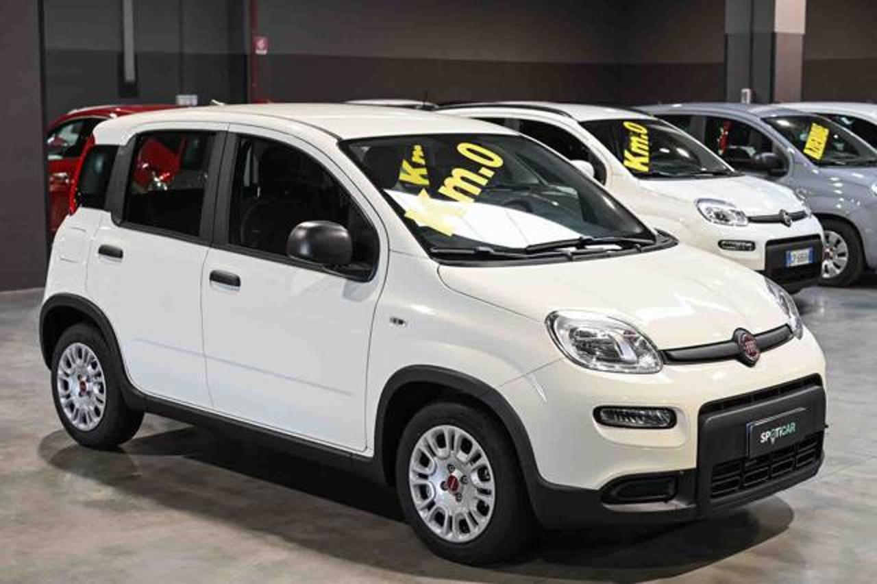 Fiat Fiat Panda usata 13