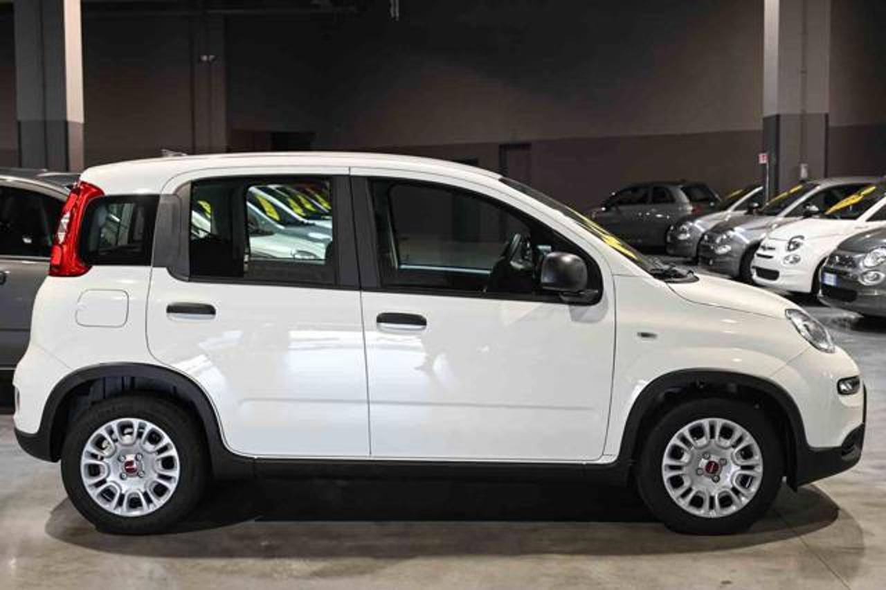 Fiat Fiat Panda usata 14