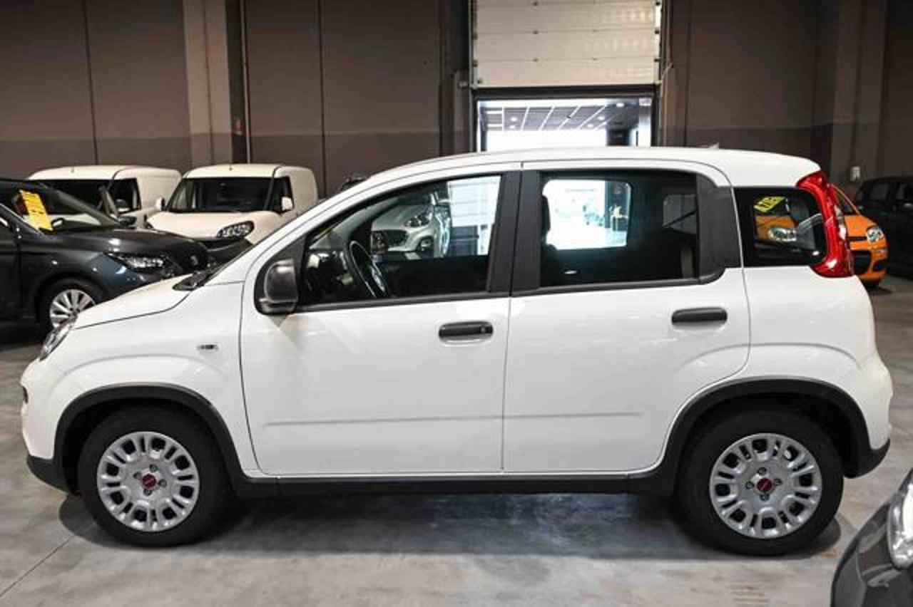 Fiat Fiat Panda usata 17