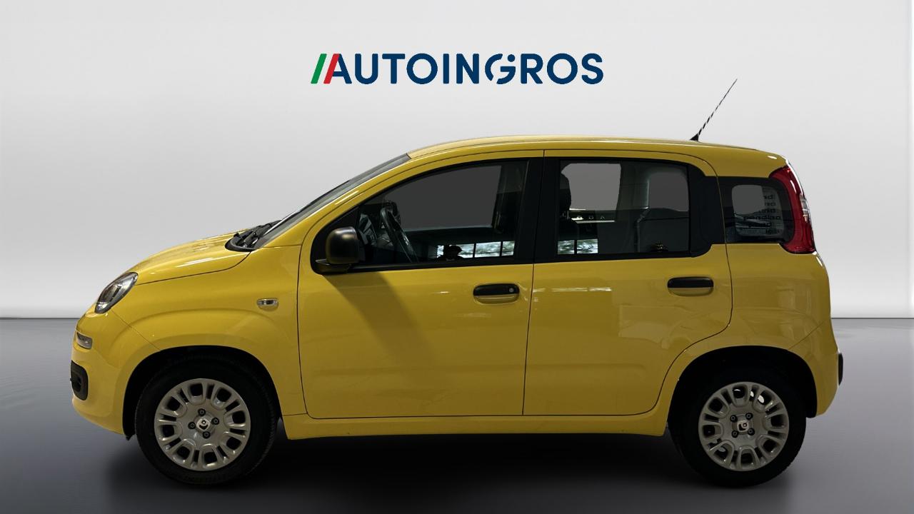 Fiat Fiat Panda usata 8