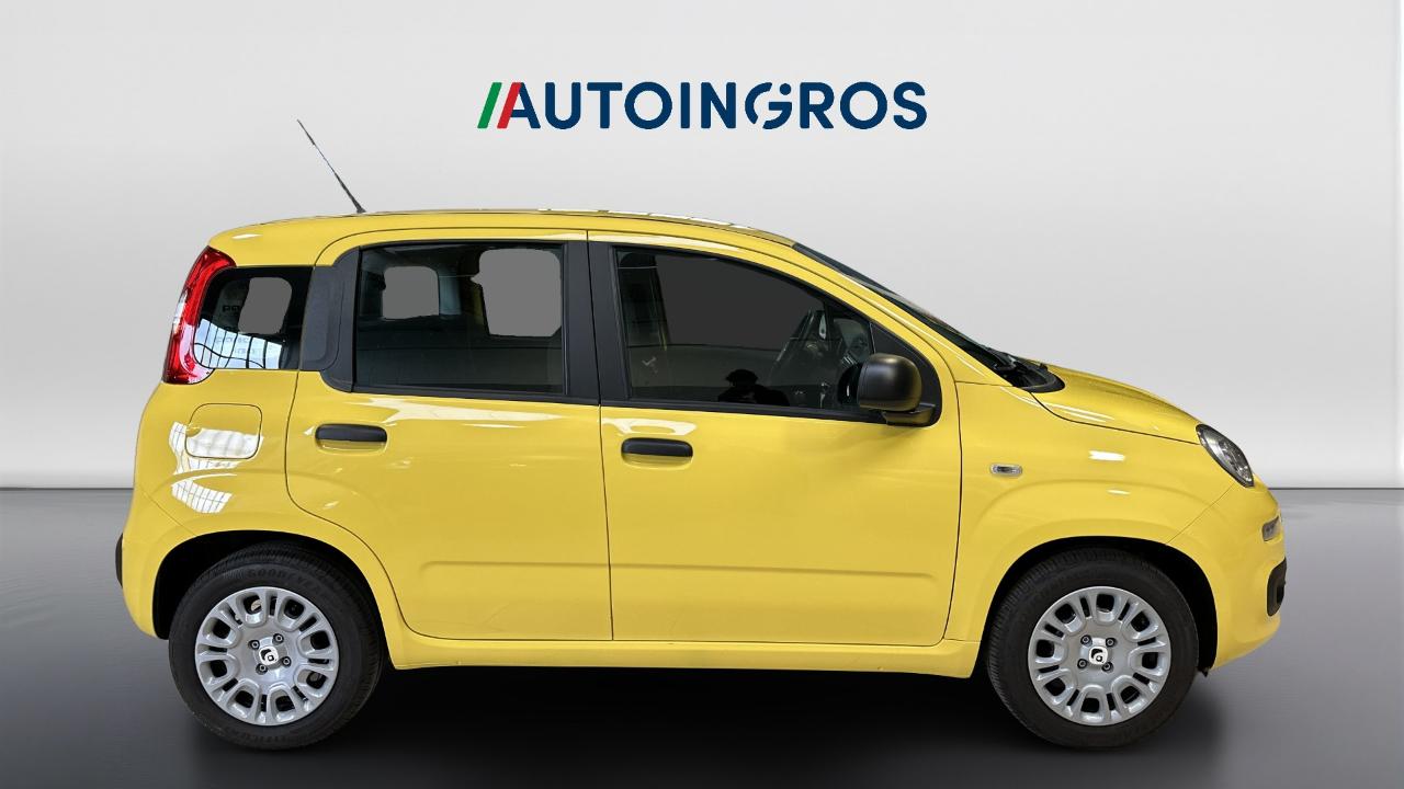 Fiat Fiat Panda usata 12