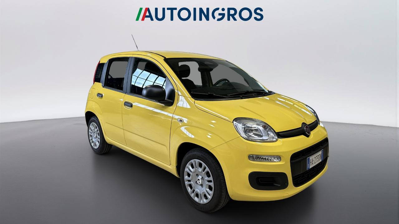 Fiat Fiat Panda usata 13