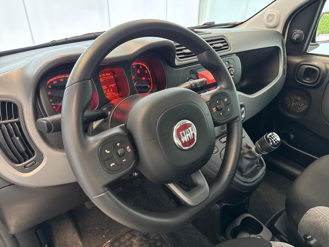 Fiat Fiat Panda usata 5
