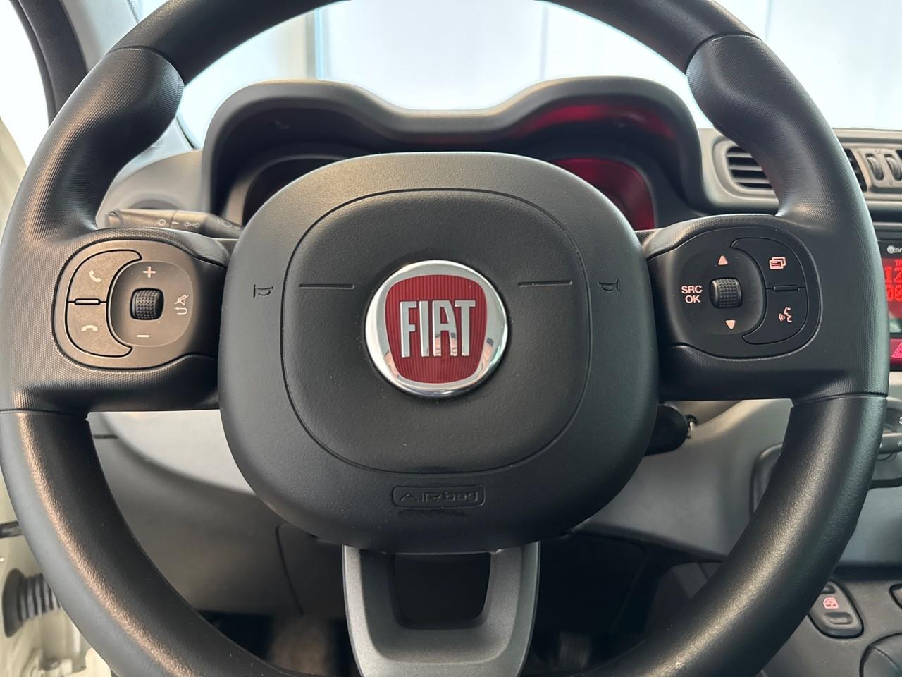 Fiat Fiat Panda usata 10