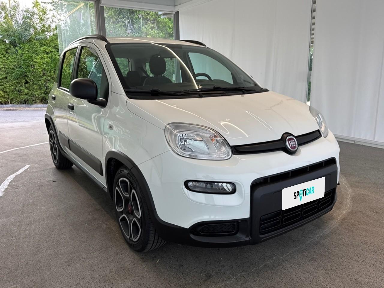 Fiat Fiat Panda usata 14