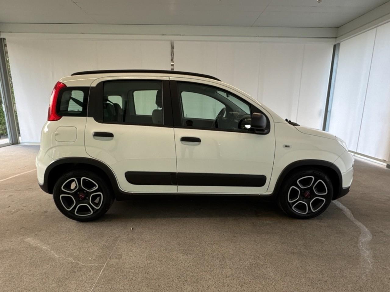 Fiat Fiat Panda usata 15