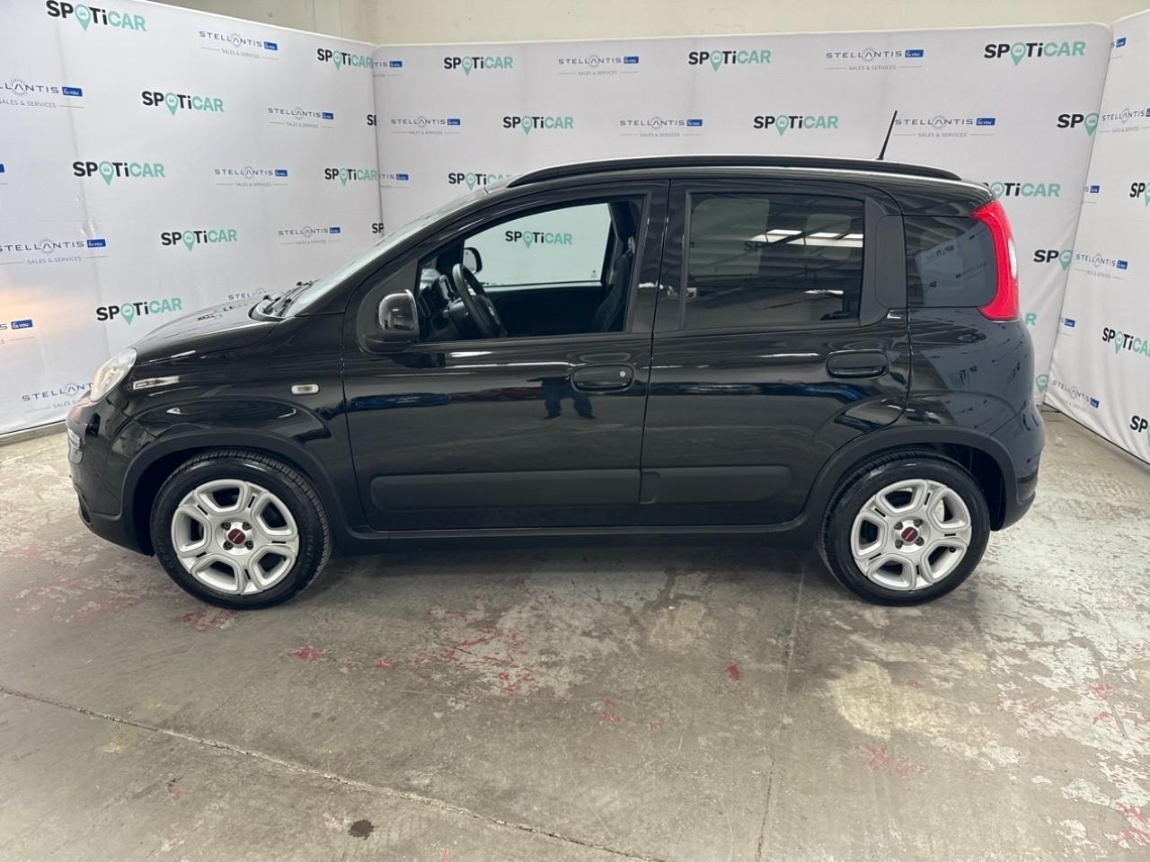 Fiat Fiat Panda usata 16