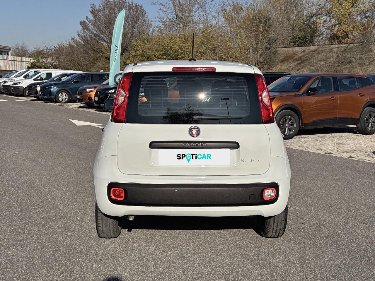 Fiat Fiat Panda usata 16