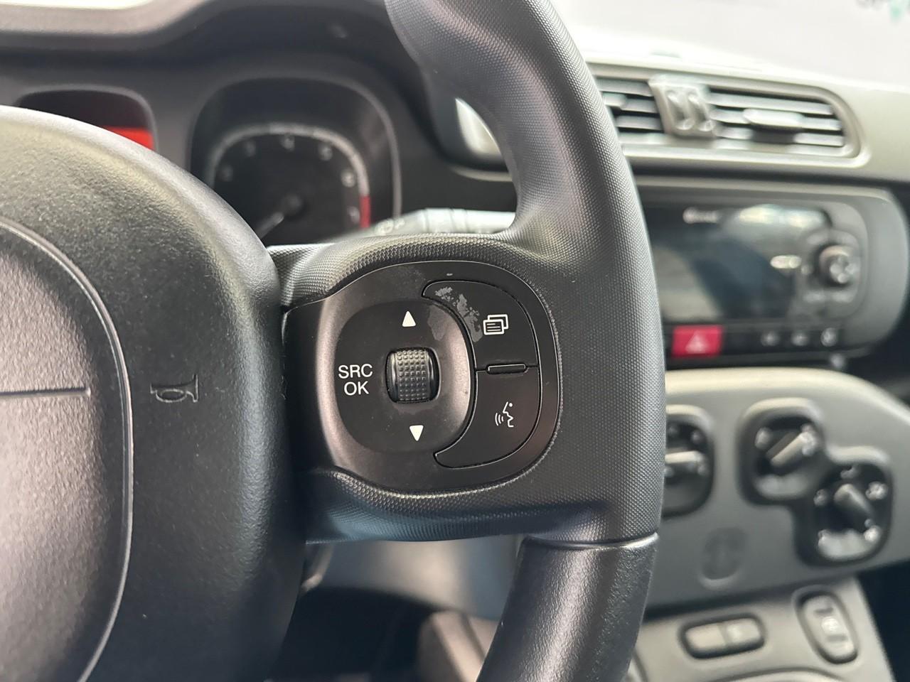 Fiat Fiat Panda usata 12