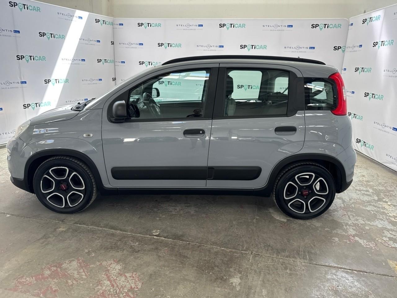 Fiat Fiat Panda usata 16