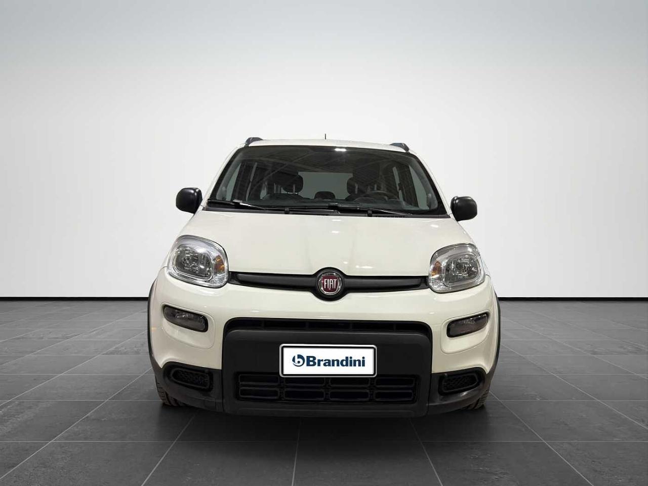 Fiat Fiat Panda usata 11