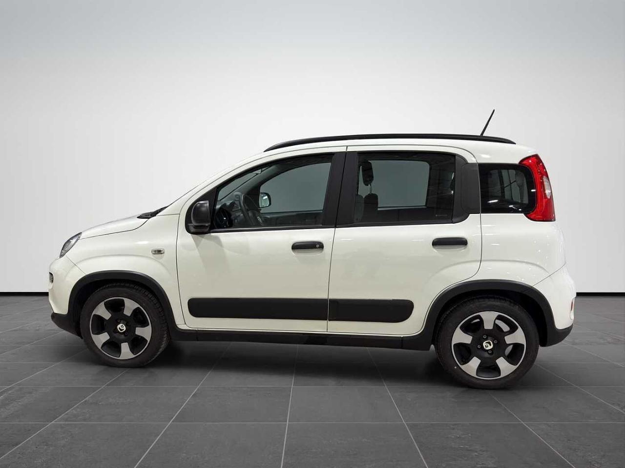 Fiat Fiat Panda usata 25