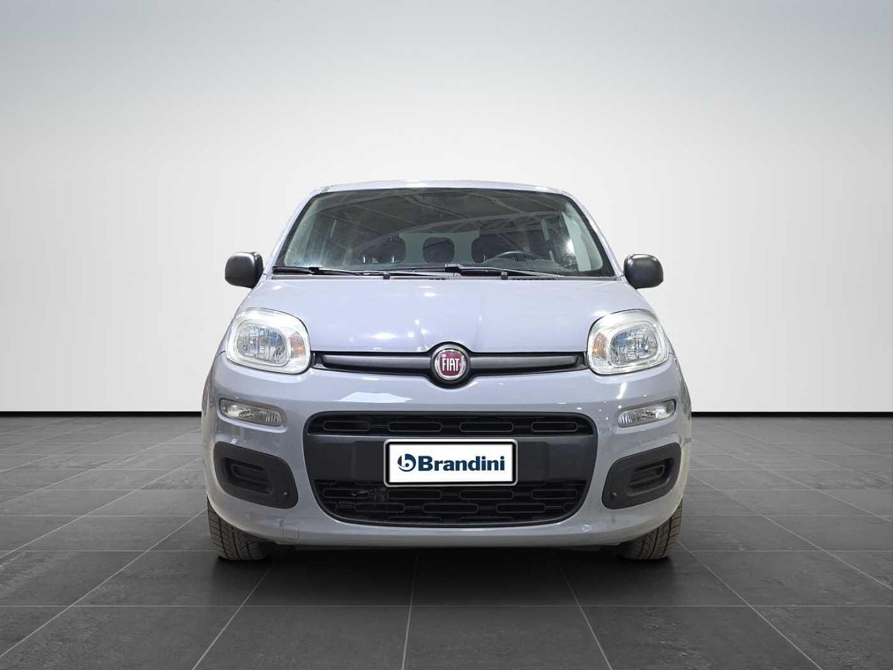 Fiat Fiat Panda usata 11