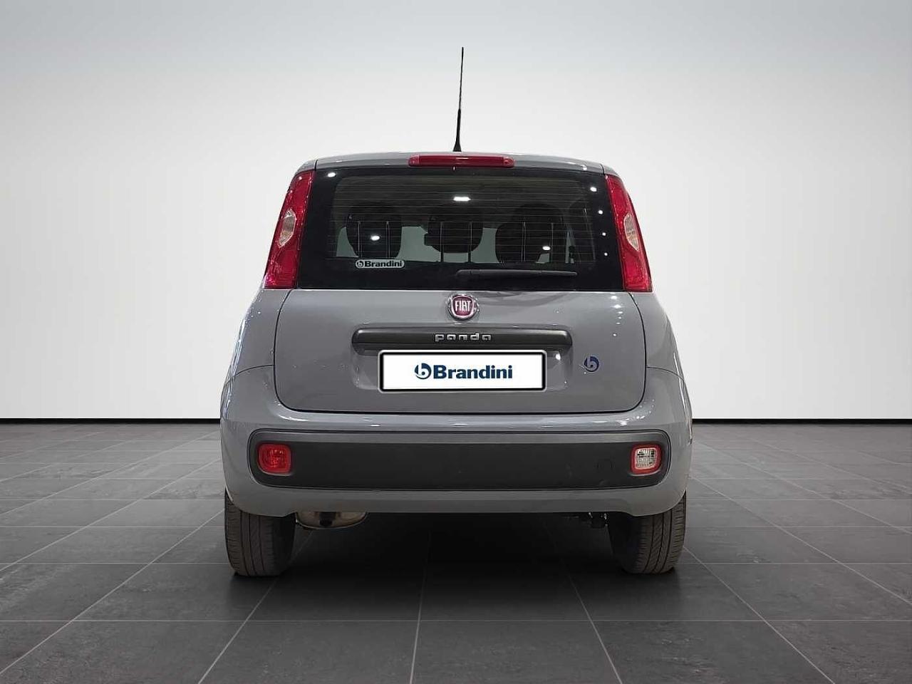 Fiat Fiat Panda usata 25
