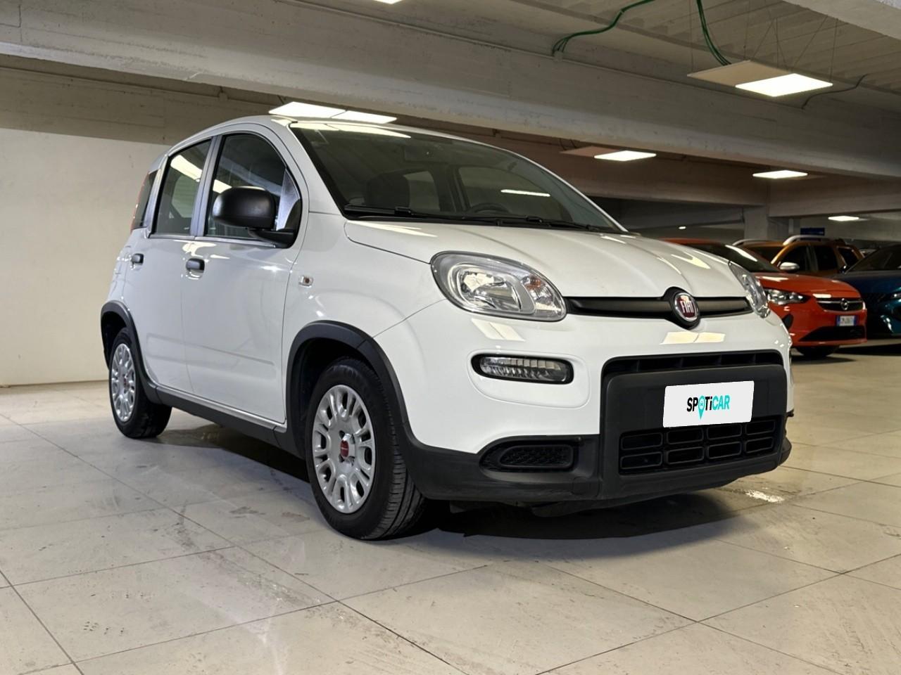 Fiat Fiat Panda usata 13