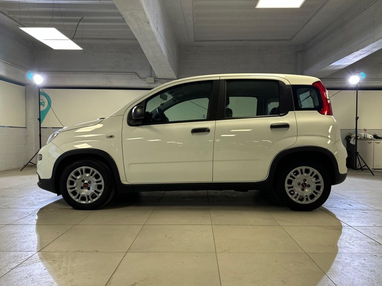 Fiat Fiat Panda usata 14