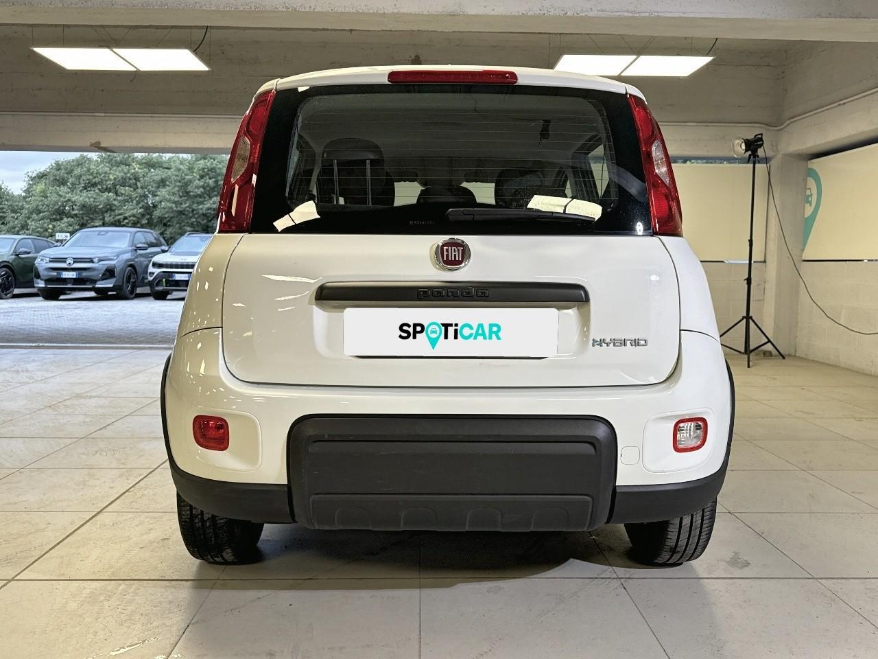 Fiat Fiat Panda usata 15