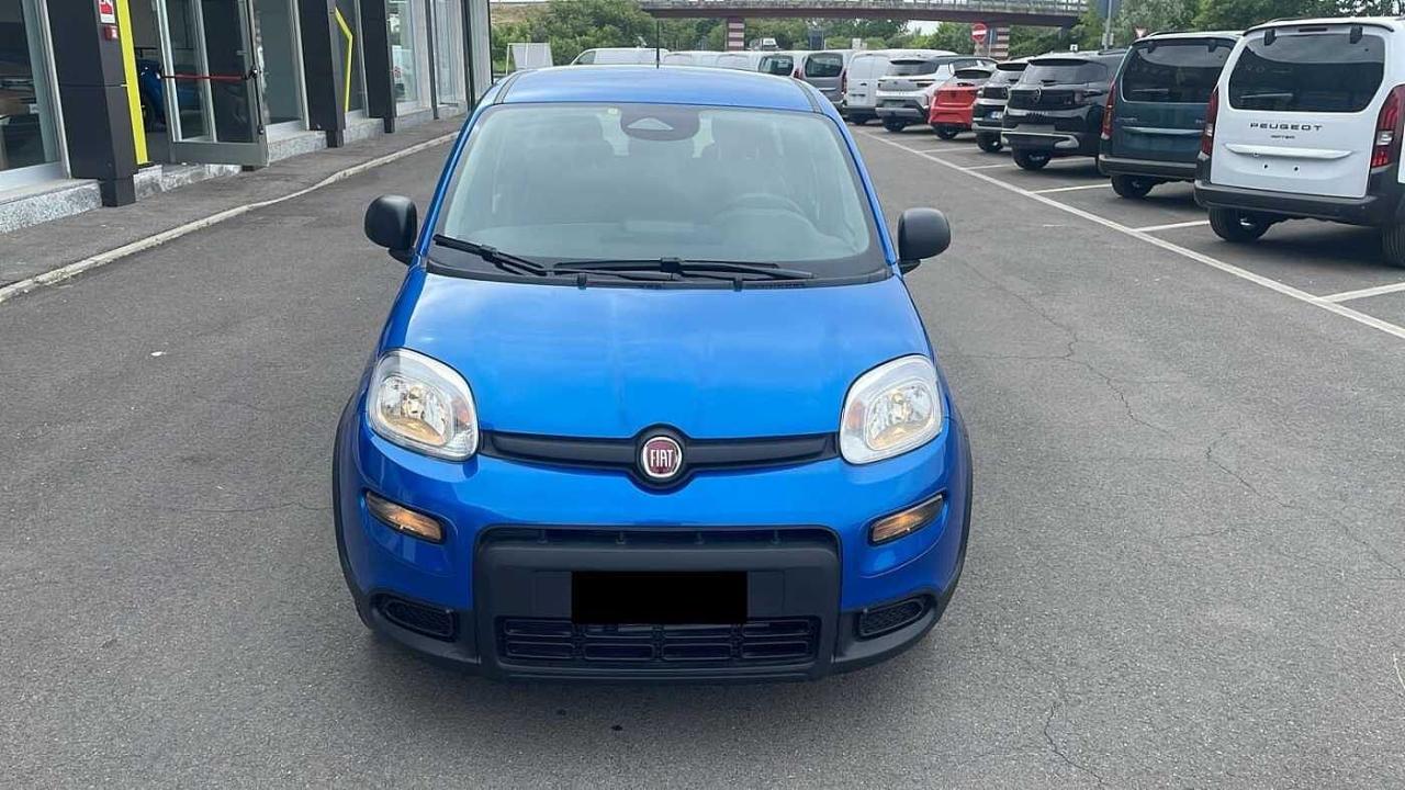 Fiat Fiat Panda usata 11
