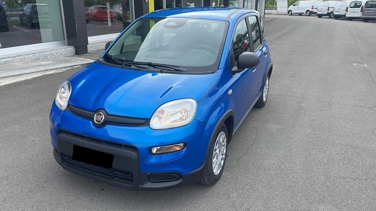 Fiat Fiat Panda usata 15