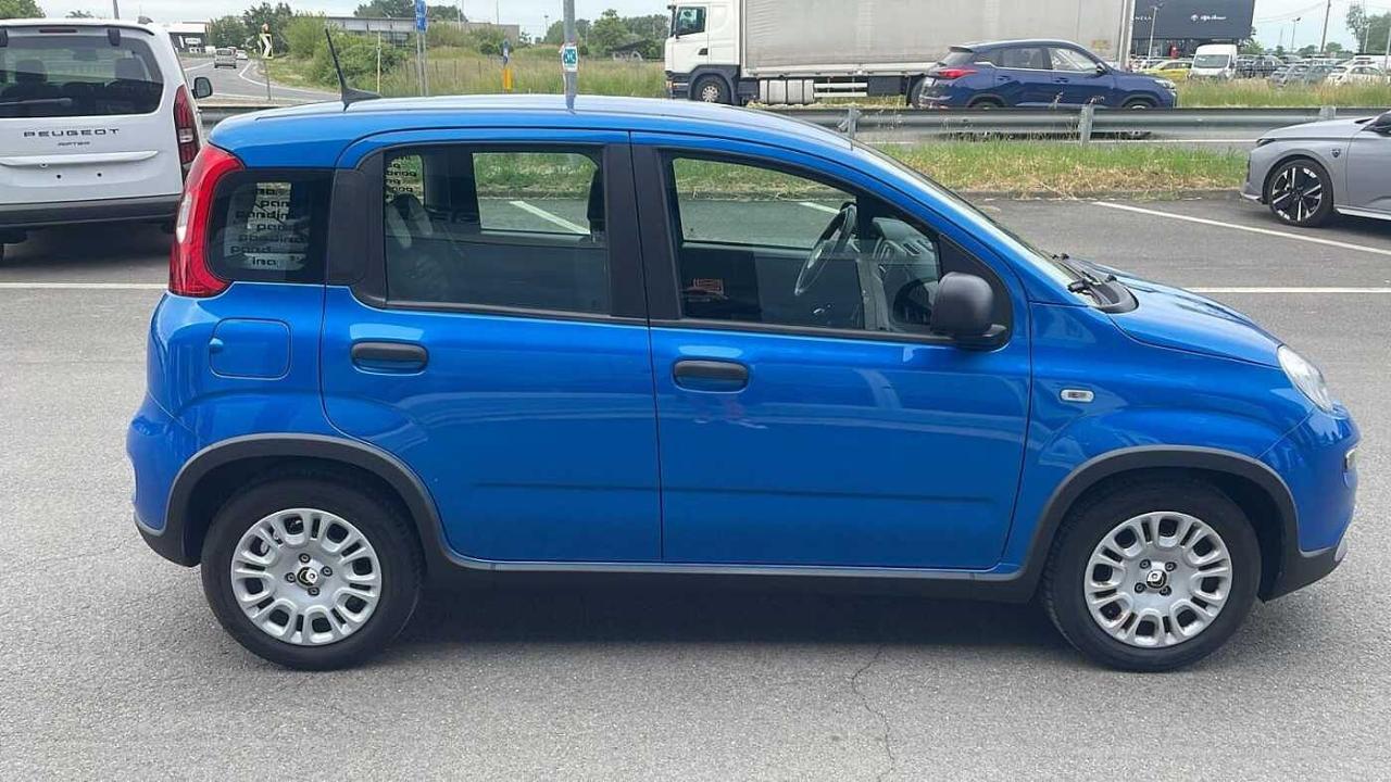 Fiat Fiat Panda usata 16