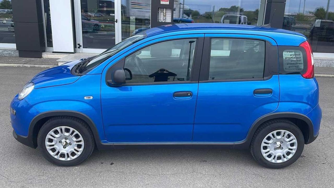 Fiat Fiat Panda usata 17