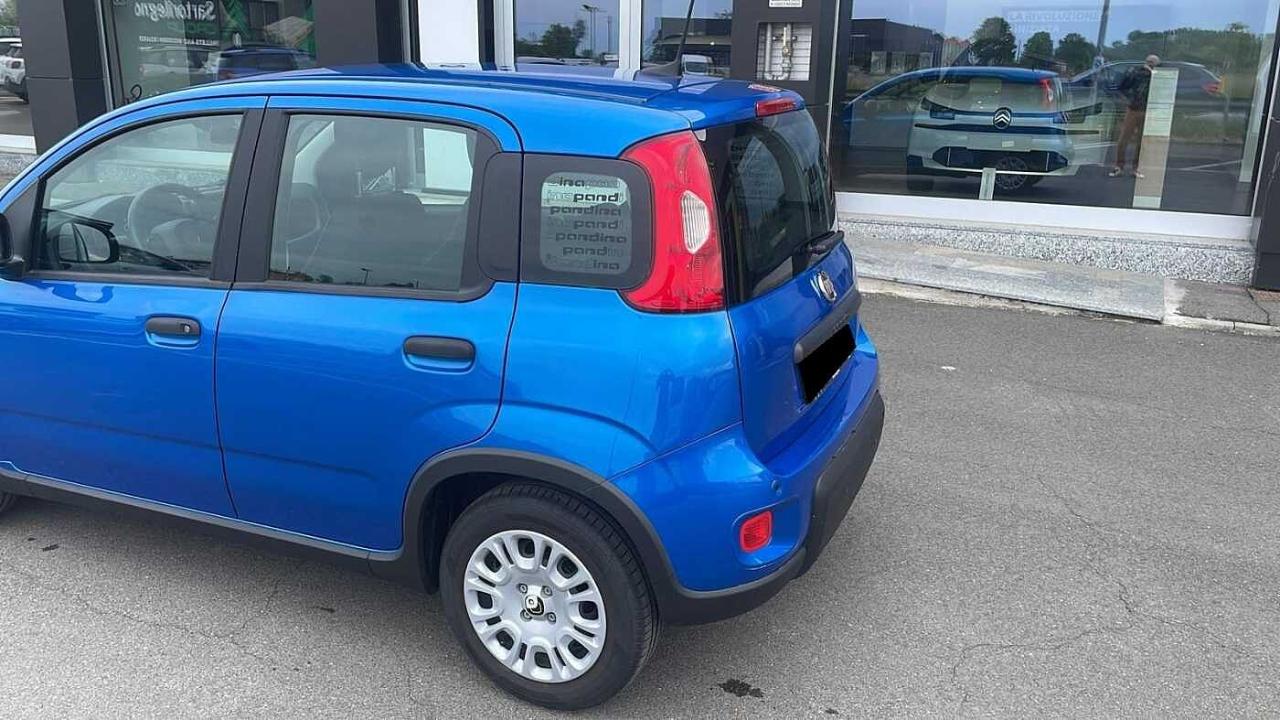 Fiat Fiat Panda usata 18