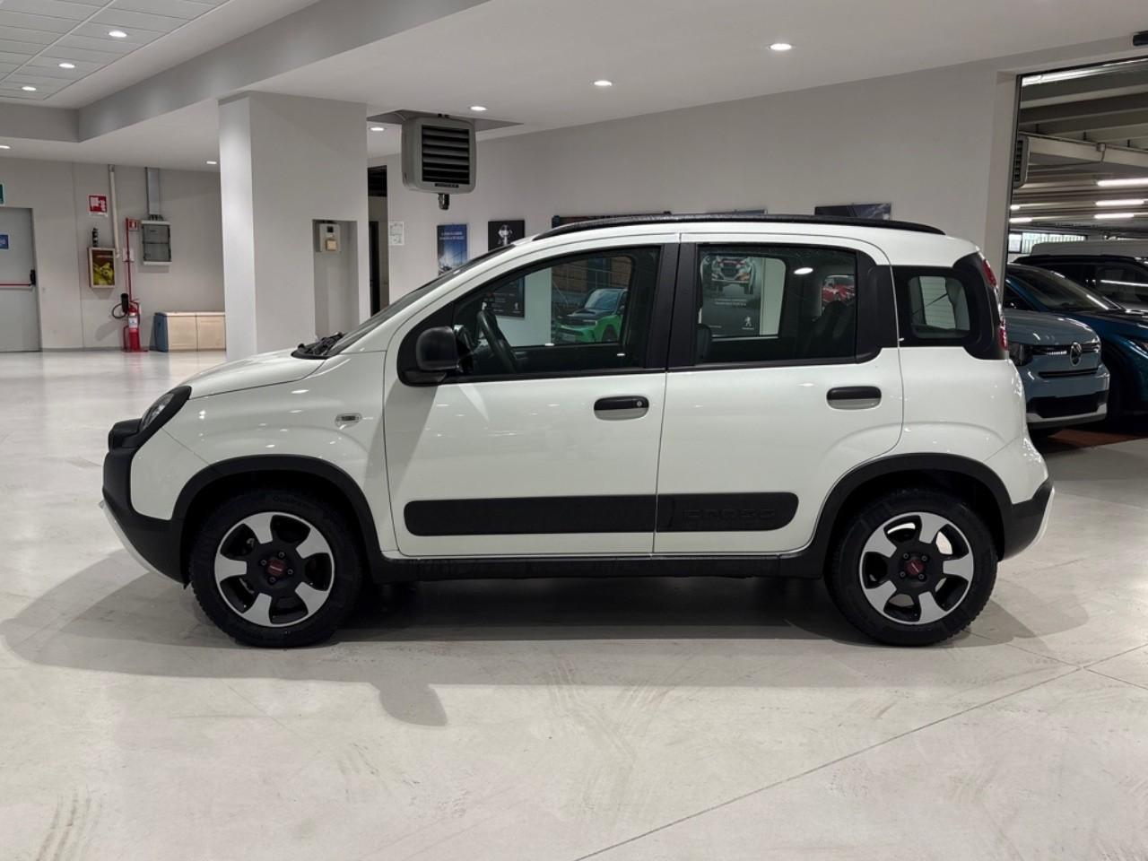 Fiat Fiat Panda usata 14