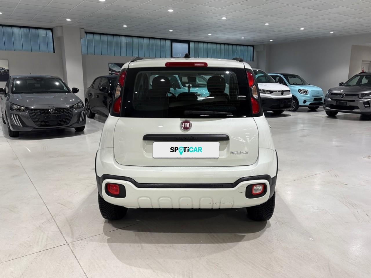 Fiat Fiat Panda usata 15