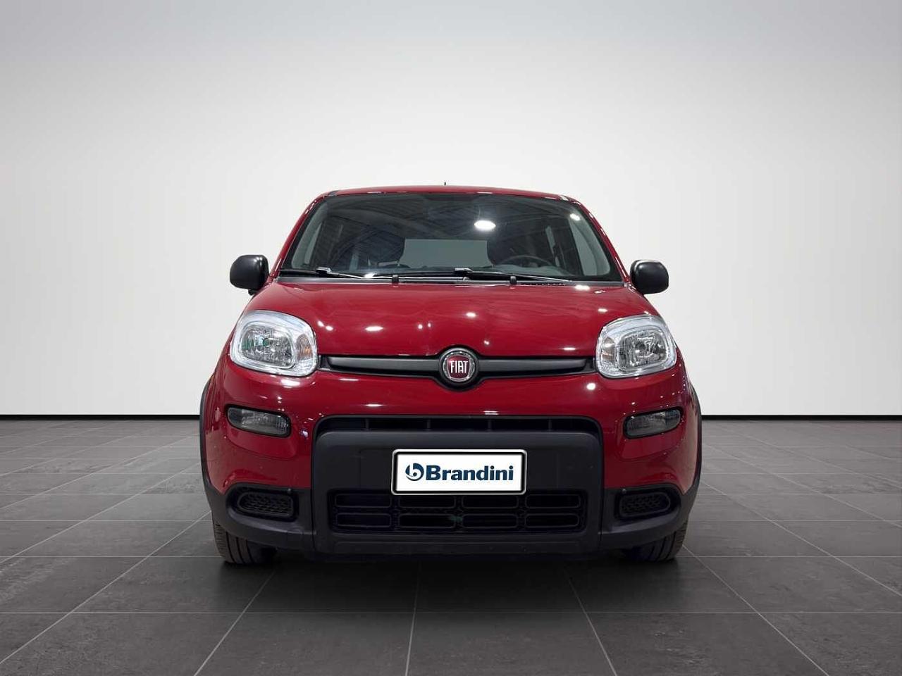 Fiat Fiat Panda usata 11