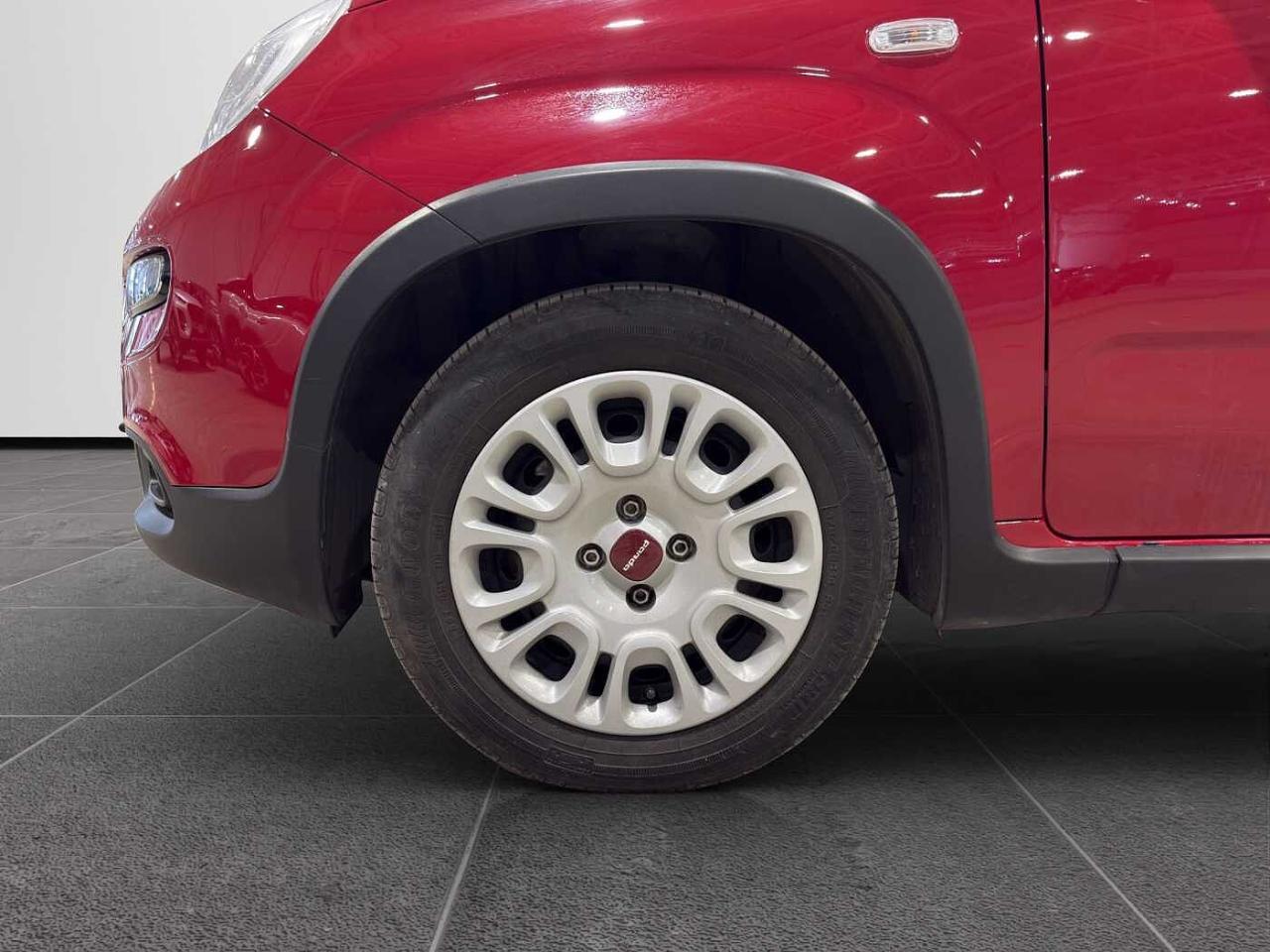Fiat Fiat Panda usata 13
