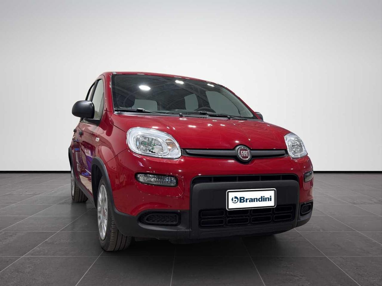 Fiat Fiat Panda usata 19