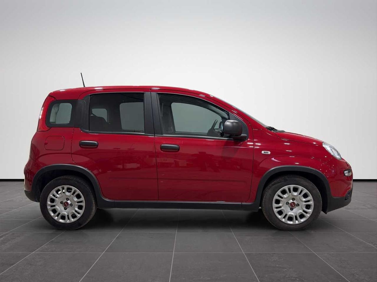 Fiat Fiat Panda usata 20