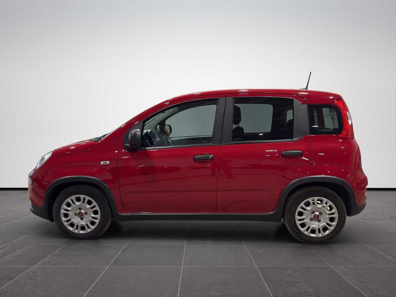 Fiat Fiat Panda usata 24