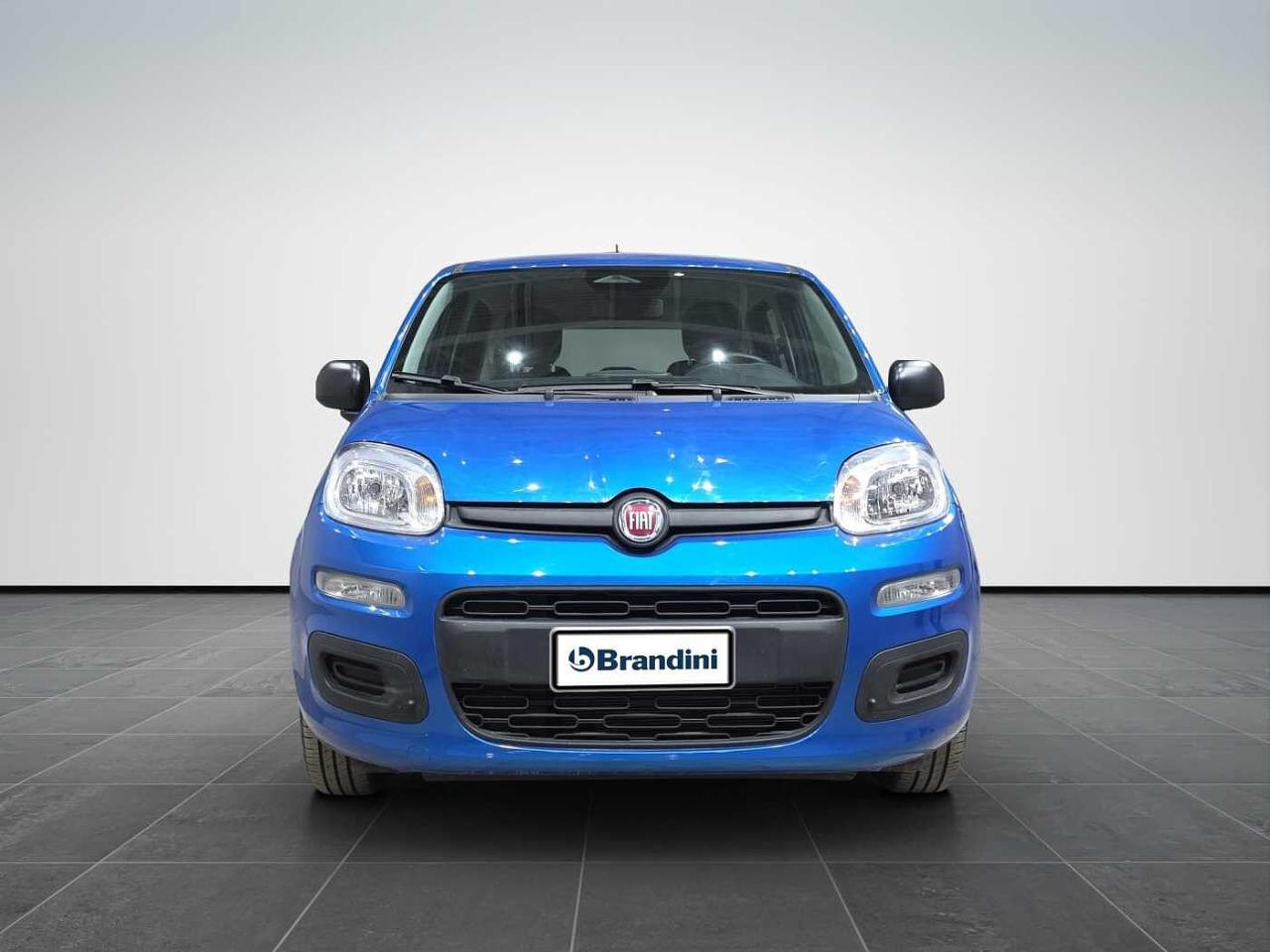 Fiat Fiat Panda usata 11