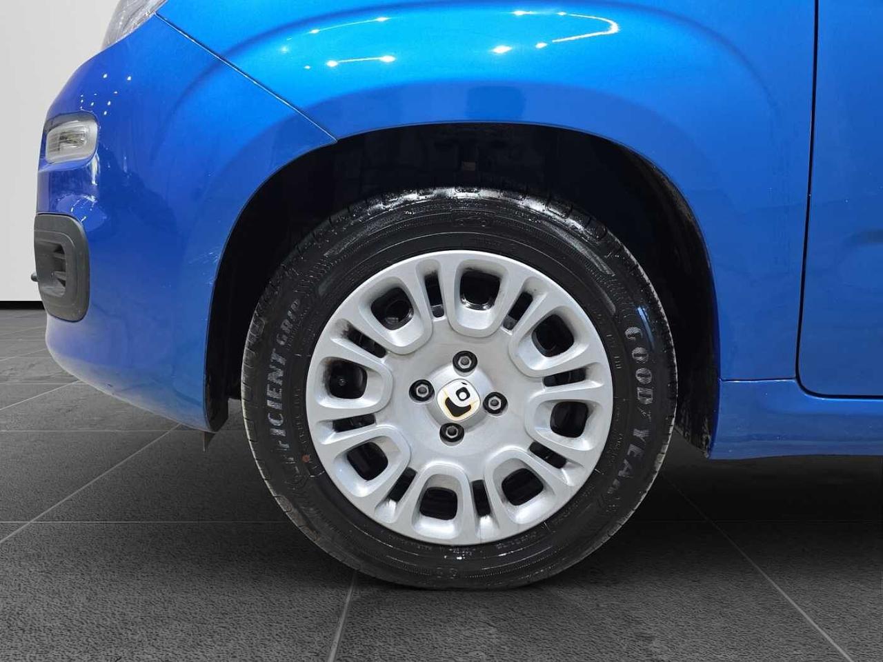 Fiat Fiat Panda usata 13