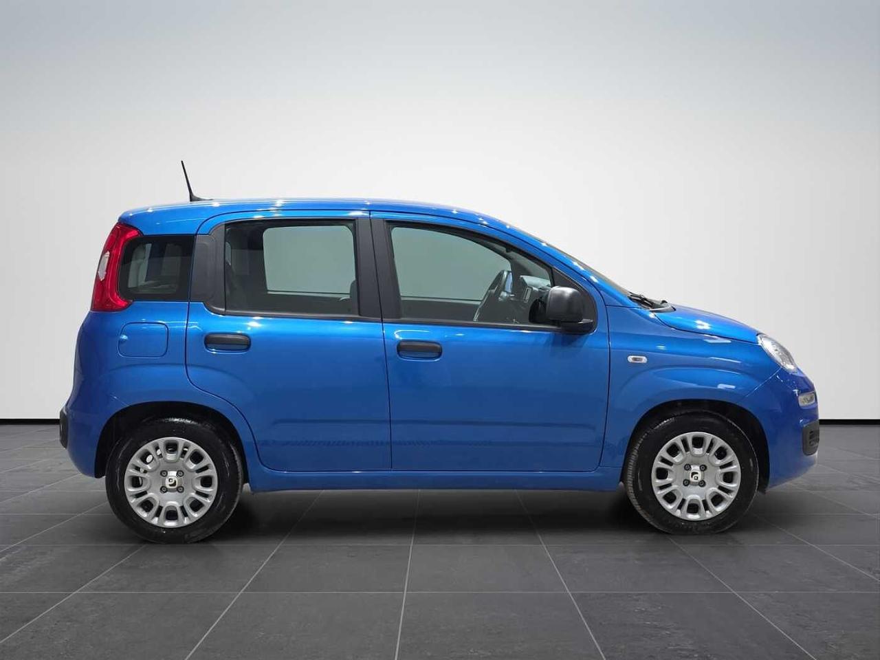 Fiat Fiat Panda usata 22