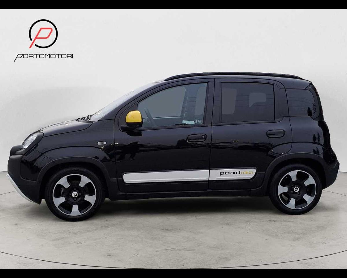 Fiat Fiat Panda usata 10