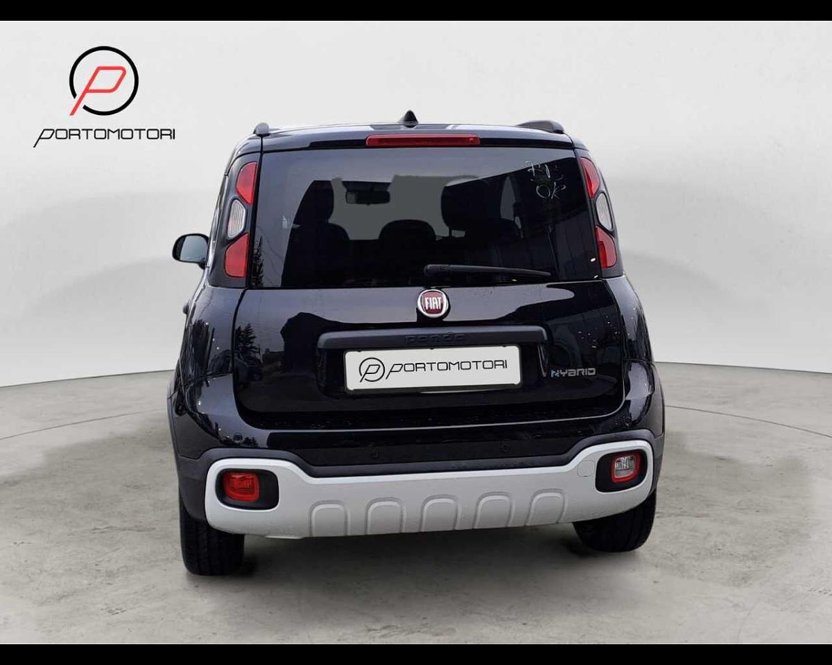 Fiat Fiat Panda usata 12