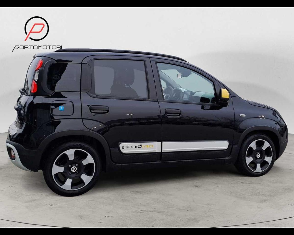 Fiat Fiat Panda usata 14