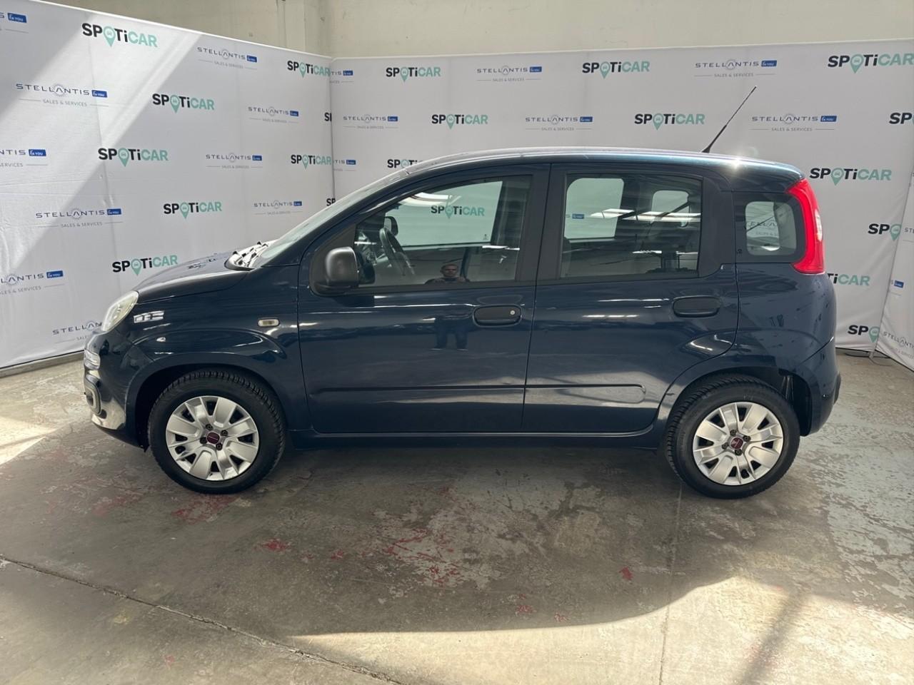 Fiat Fiat Panda usata 16