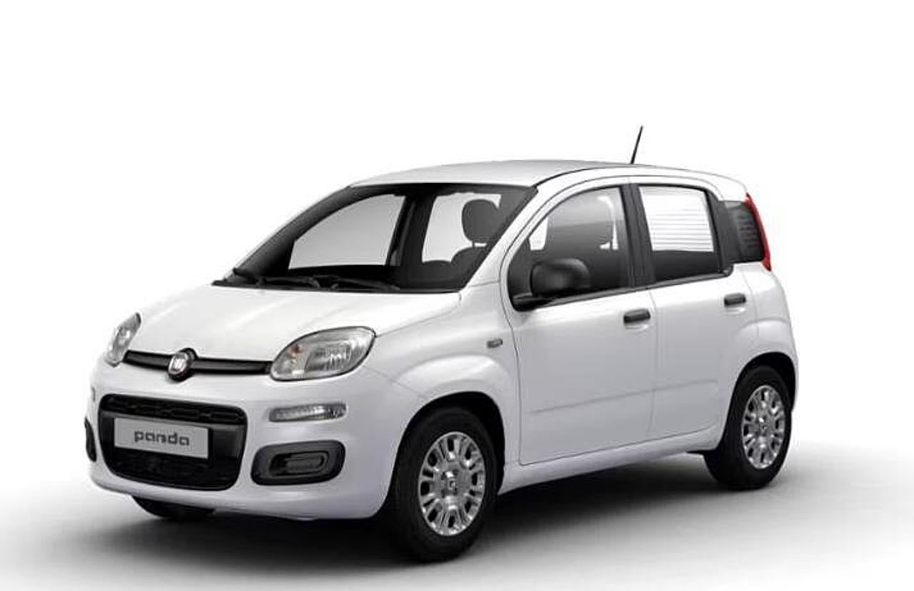 Fiat Fiat Panda usata 8